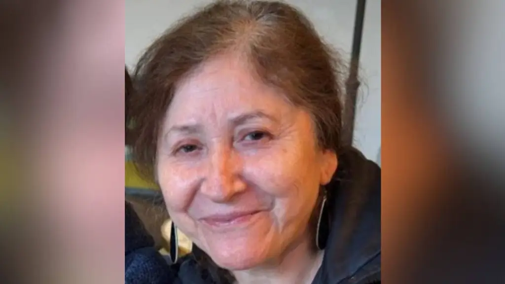 Nueve días sin rastro: buscan a mujer de 65 años desaparecida en Concepción tras salir a un control médico, cedida