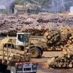 Desde hace largo tiempo, el gremio agrícola solicita hacer más expedita la entrega de permisos relacionados con proyectos de inversión.