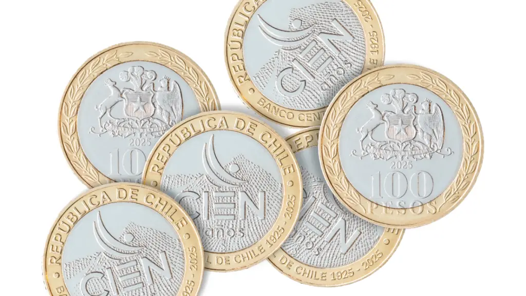 Nueva moneda, internet