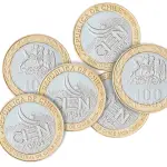 Nueva moneda, internet