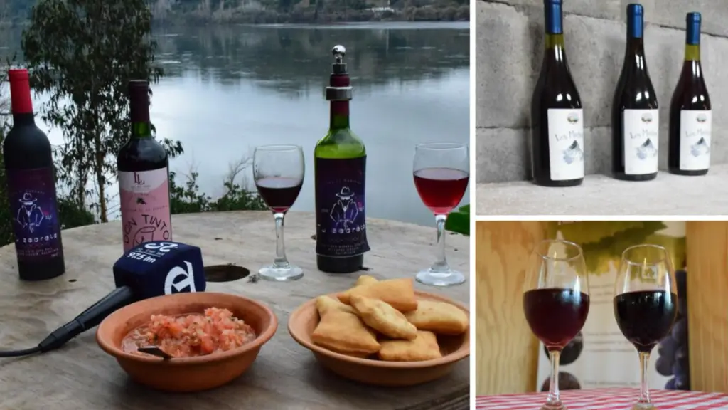 Viñateros de la provincia proyectan sus emprendimientos con identidad desde el territorio, Diario La Tribuna