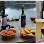 Viñateros de la provincia proyectan sus emprendimientos con identidad desde el territorio, Diario La Tribuna