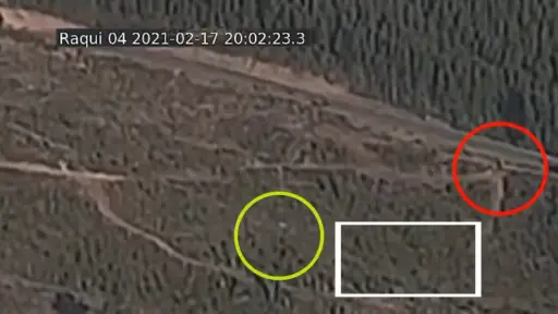 Presentan video que mostraría a un tercero en el lugar de la desaparición de Tomás Bravo