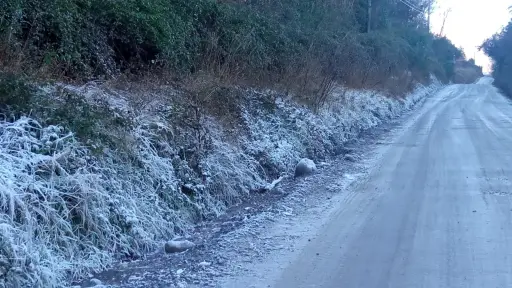 Biobío se prepara para heladas de hasta -6 °C autoridades refuerzan llamado a la precaución