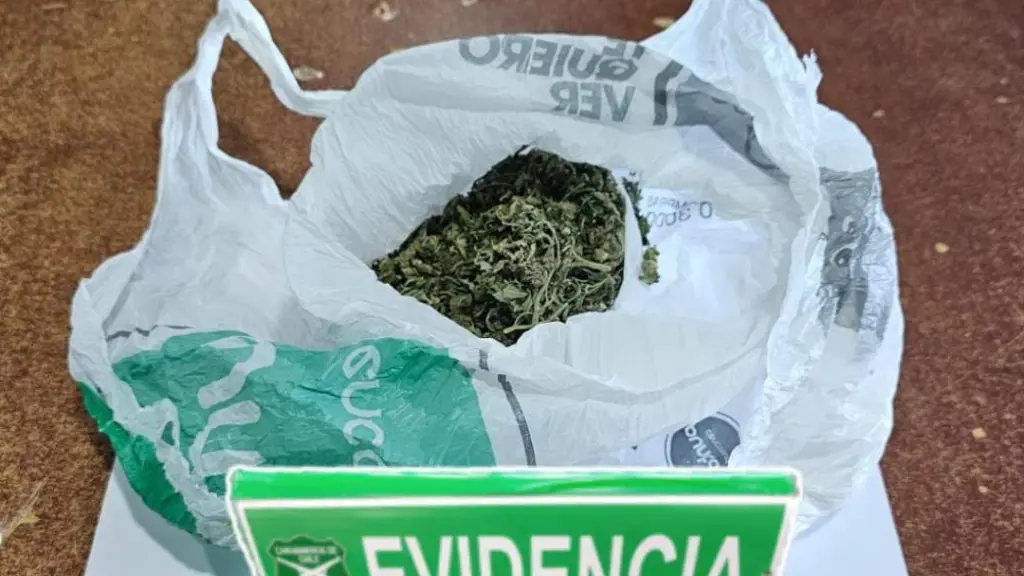 Micrortráfico de marihuana