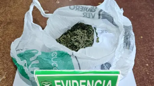 Detienen a dos sujetos por microtráfico de marihuana en sector Santiago Bueras en Los Ángeles