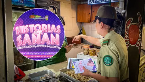 Historias que sanan: campaña municipal invita a mujeres a compartir relatos de superación