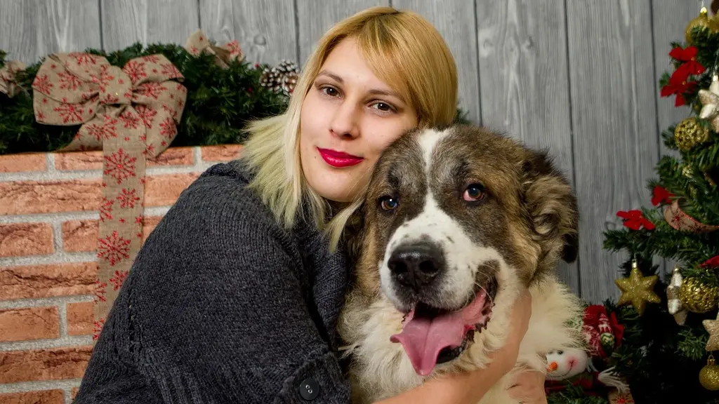 foto de navidad, imagen de navidad, familia de navidad, navidad, perro, perro y niña, perro de la foto de navidad, mascota, animal, foto, familia de perros, familia, celebracion, momentos felices, Pixabay