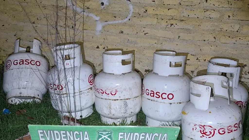 Las especies fueron recuperadas por Carabineros., Cedida