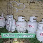 Las especies fueron recuperadas por Carabineros., Cedida