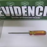 Uno de los detenidos fue sorprendido con un destornillador, herramienta con la que habría intentado perpetrar el delito., Cedida