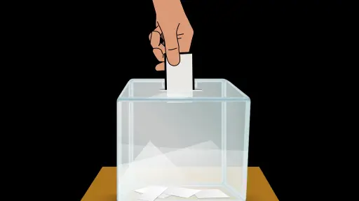 Cámara aprueba idea de legislar proyecto que busca multar a ciudadanos que no concurran a elecciones