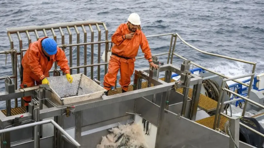 Productores de la región esperan tener una conversación objetiva con las autoridades sobre la Ley de Fraccionamiento Pesquero.