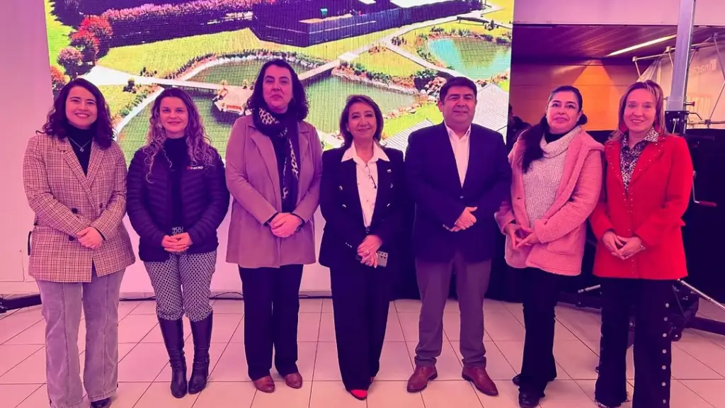 En la región del Biobío se pueden encontrar las primeras viñas que llegaron a Chile e incluso a América, de mediados de los 1500.