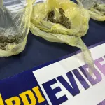 Droga incautada por detectives de la PDI, PDI Araucanía