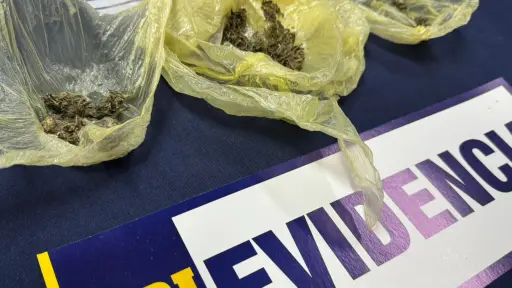 Detienen a mujer por microtráfico de drogas en Traiguén 