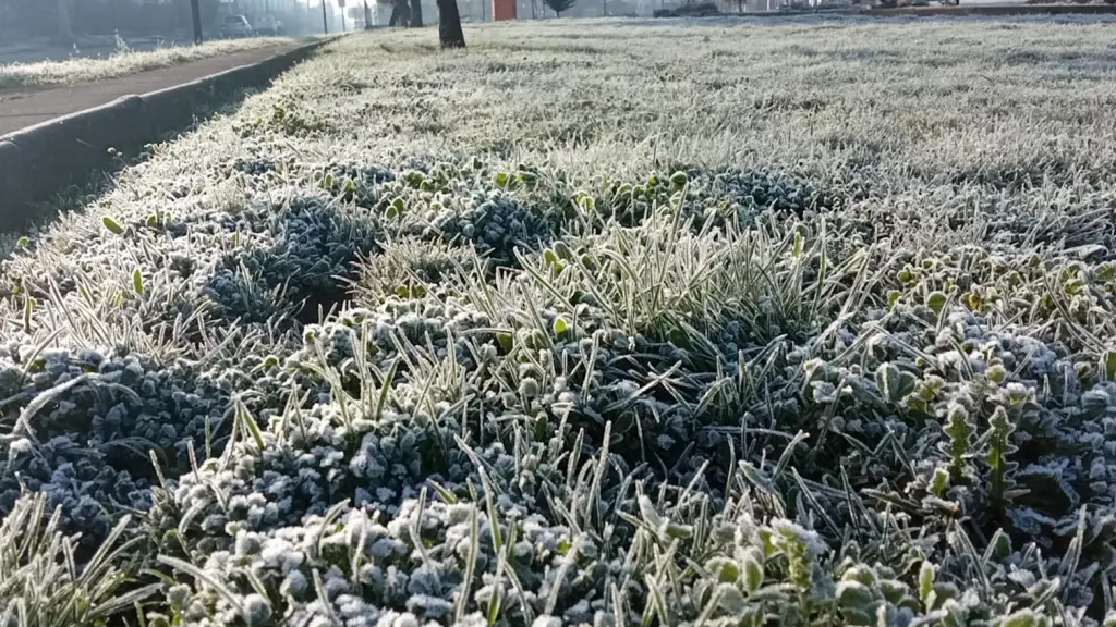 Entrevista por temperaturas polares en Biobío, Diario La Tribuna