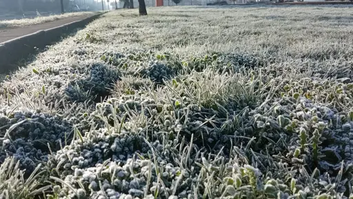 El fenómeno detrás de la ola polar en Biobío y cómo podrían cambiar los inviernos 