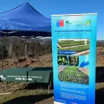 Nacimiento apuesta por el bosque nativo: lanza proyecto de restauración ecológica , Municipalidad de Nacimiento