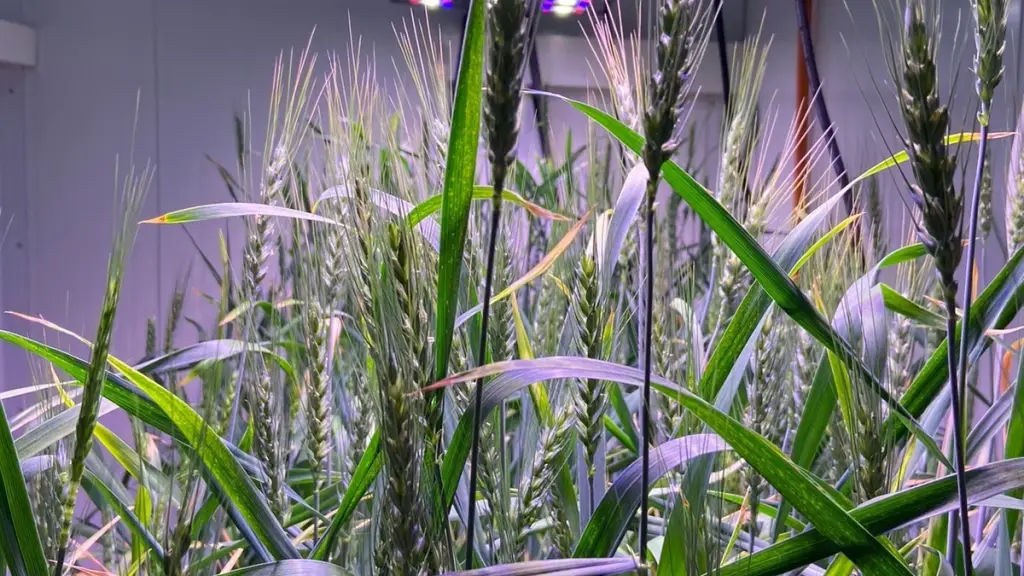 Los cambios regulatorios aplicados por otros países apuntan a fortalecer la seguridad alimentaria, a mejorar la adaptación del cambio climático y a impulsar una agricultura más sostenible.