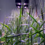 Los cambios regulatorios aplicados por otros países apuntan a fortalecer la seguridad alimentaria, a mejorar la adaptación del cambio climático y a impulsar una agricultura más sostenible.