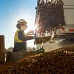 El trabajo colaborativo entre industria, productores y territorios ha propiciado un crecimiento sostenido del cultivo, con foco en la innovación y sustentabilidad.