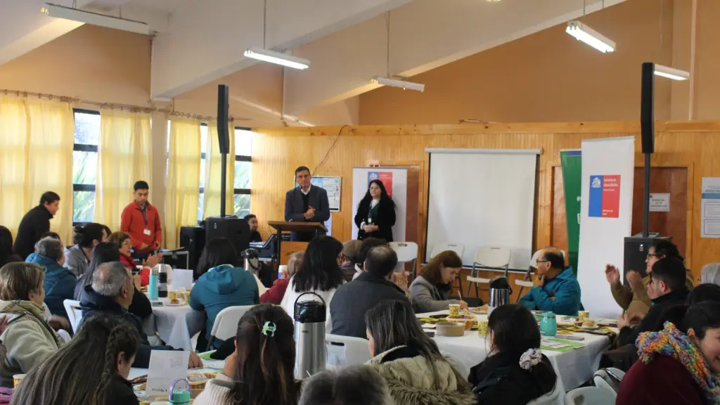 Mesa Provincial Intersectorial de Personas Mayores sesionó en Nacimiento., Seremi de Salud Biobío