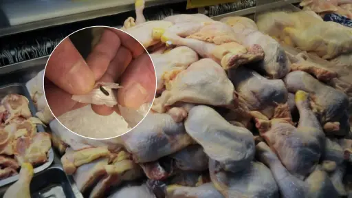 Mujer encuentra heces de roedor en pollo comprado a granel en hipermercado de Punta Arenas