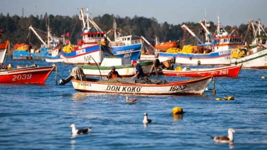 Según el vocero de los pescadores artesanales del Biobío, la ley vigente mejorará la calidad de vida de más de 100 mil pescadores en todo Chile.