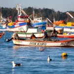 Según el vocero de los pescadores artesanales del Biobío, la ley vigente mejorará la calidad de vida de más de 100 mil pescadores en todo Chile.