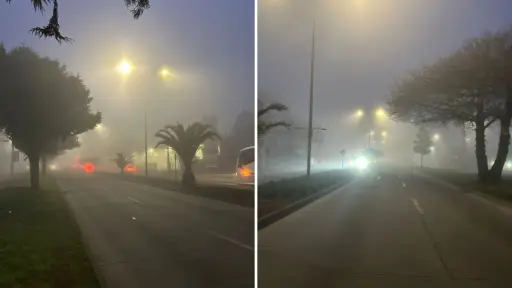 Declaran preemergencia ambiental en Los Ángeles