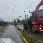 Contexto, Municipalidad de Quilaco