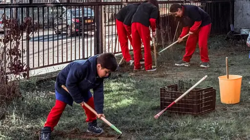 Laja da el primer paso hacia una ciudad más verde con plantación de árboles nativos 