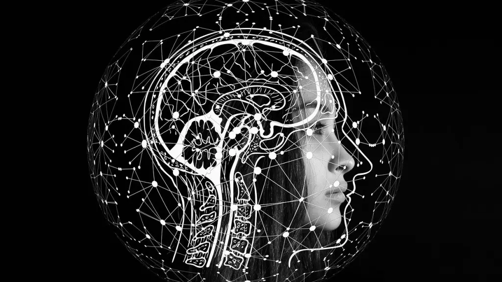 inteligencia artificial, cerebro, Pixabay