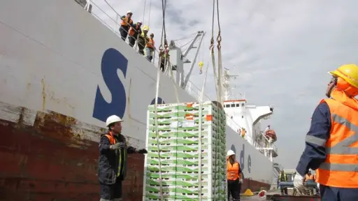 Solo 460 empresas exportan desde la región: ProChile impulsa crecimiento en sectores innovadores