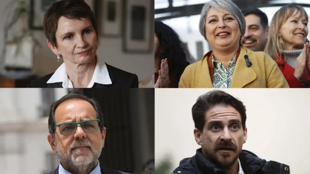 Elecciones primarias 2025