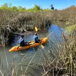 Instalación y monitoreo de cámaras trampa, cedida
