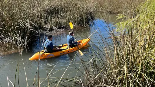 Coipos, aves y ranas: con cámaras trampa documentan la biodiversidad en Cantarrana