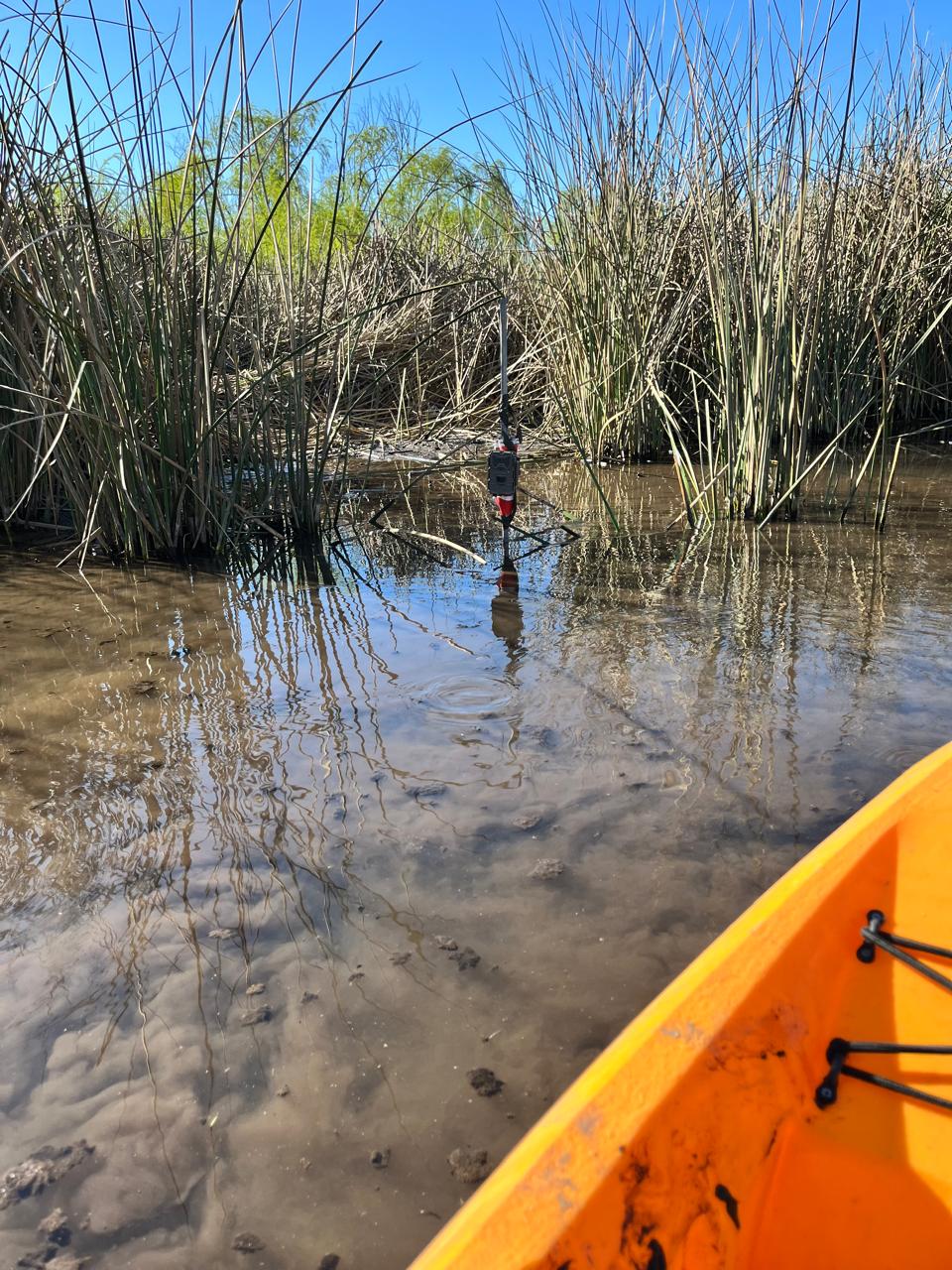 Cámaras trampa instaladas en Cantarrana / cedida