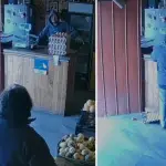 Joven fue detenido tras violento robo en frutería de Nacimiento, La Tribuna