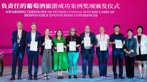Valle del Biobío recibe reconocimiento internacional en enoturismo responsable
