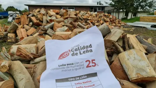 Ministerio de Energía lanza convocatoria 2025 del Sello Calidad de Leña para fomentar el uso de biocombustibles sustentables