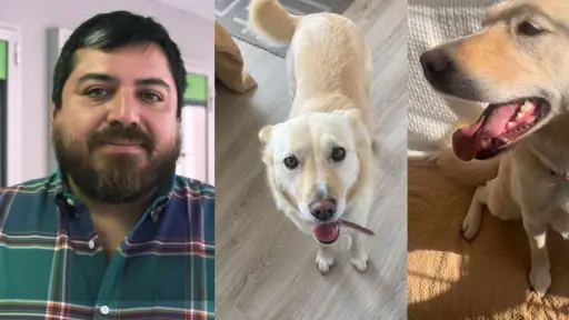 Lucía sigue perdida: continúa la búsqueda de perrita que huyó tras la muerte de su dueño en Parque Ecuador