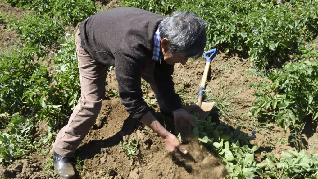 Con el objetivo de atender las necesidades de los productores, Agroseguros revisa permanentemente los criterios de asignación de subsidios. 