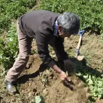 Con el objetivo de atender las necesidades de los productores, Agroseguros revisa permanentemente los criterios de asignación de subsidios. 