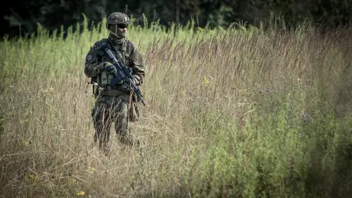 Aprueban proyecto que incluye a FFAA y policías en nuevo Servicio de Auditoría