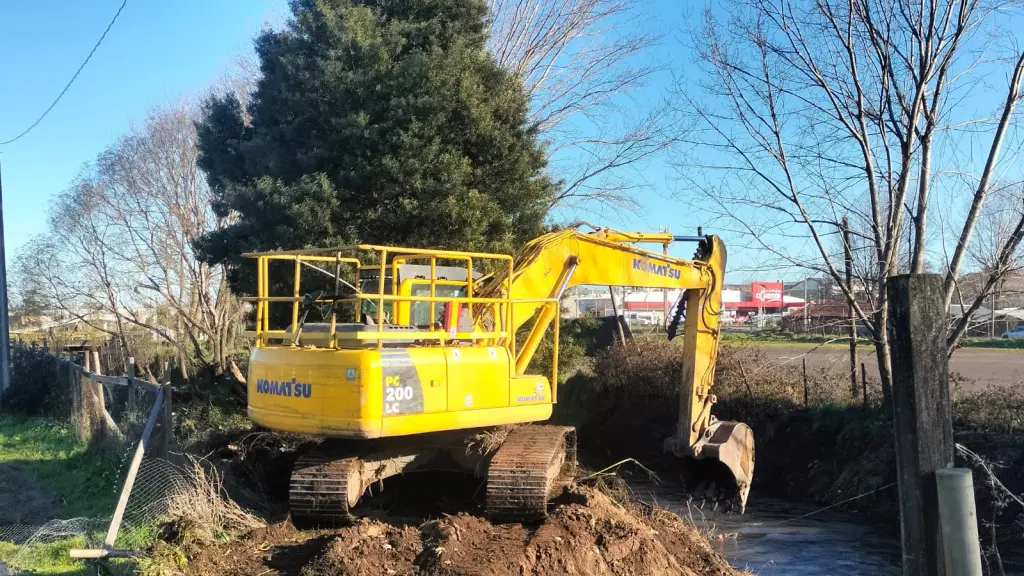 Limpieza de estero en Los Ángeles, Cedida