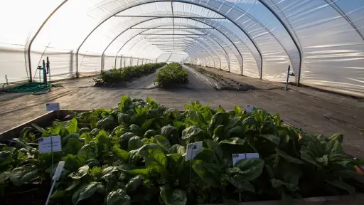 Indap refuerza su apoyo a la agricultura familiar ante la intensificación del cambio climático