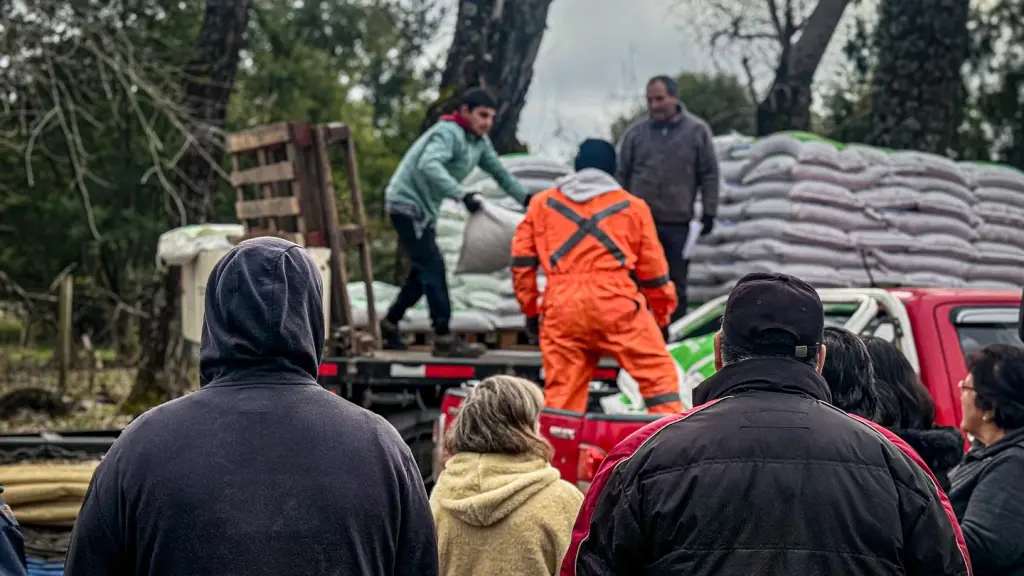 Entrega de insumos, Municipalidad de Quilaco