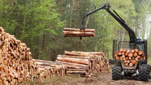 Representantes presidenciales se reunirán en Nacimiento para abordar la crisis del sector forestal